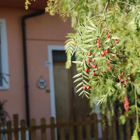 Pepe Rosa Bed & Breakfast Termoli Ngoại thất bức ảnh