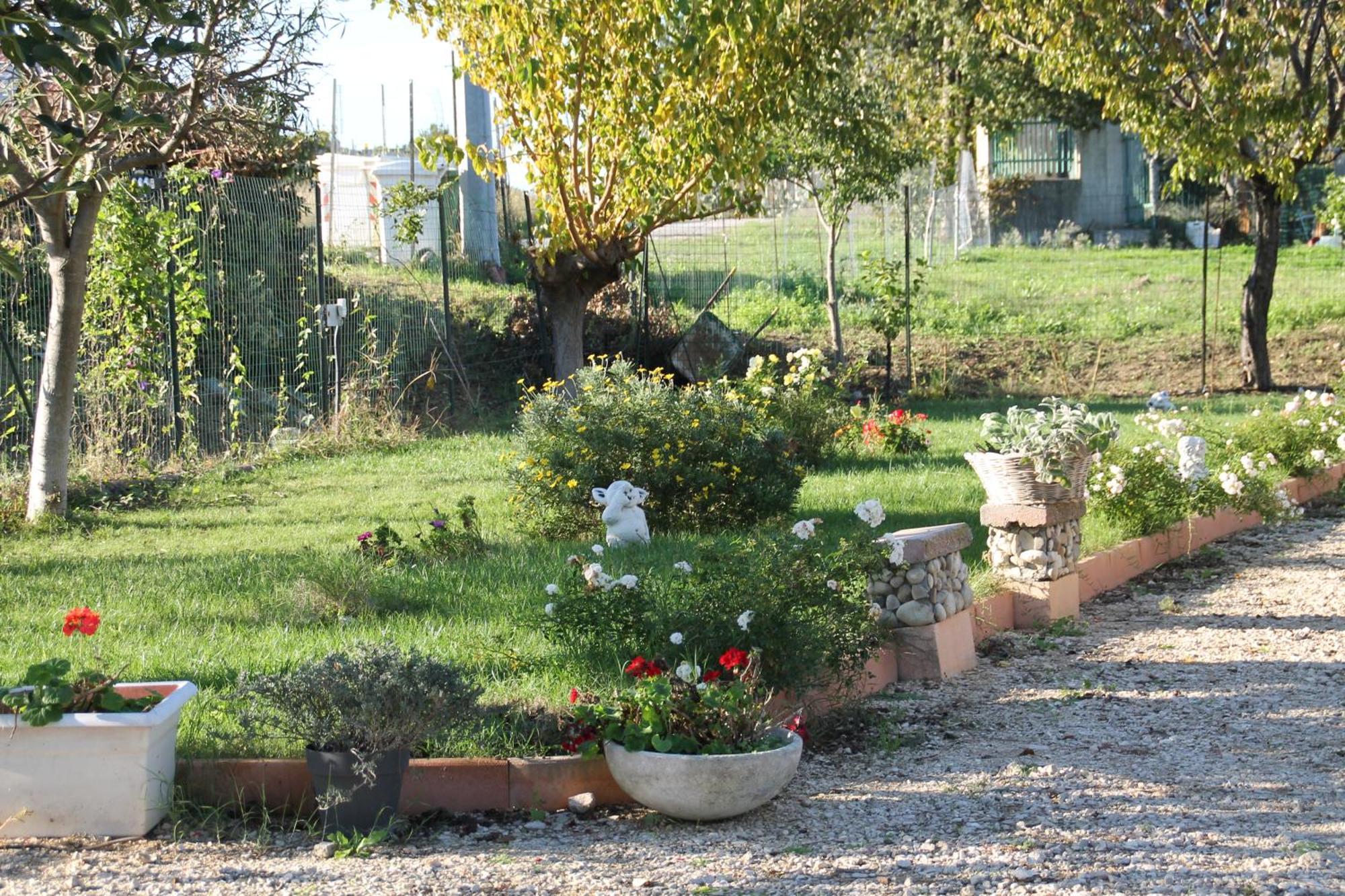 Pepe Rosa Bed & Breakfast Termoli Ngoại thất bức ảnh